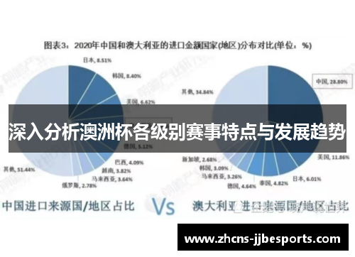 深入分析澳洲杯各级别赛事特点与发展趋势